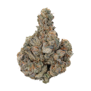 Afghan