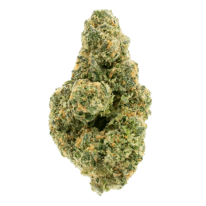 Cactus Cooler