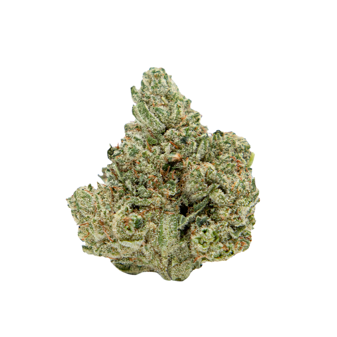 Gelato 41