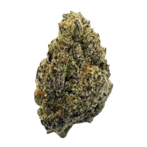 Gelato + Cream