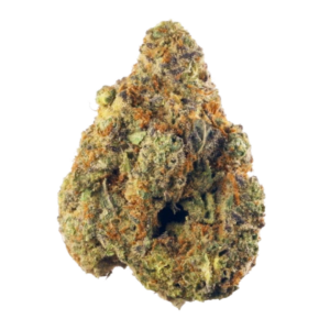 Hindu Kush