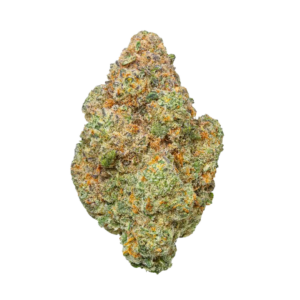 Key Lime Jack