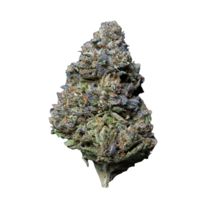 Kush Mintz