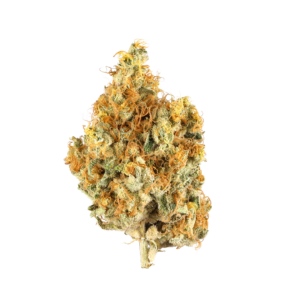 Malawi Gold