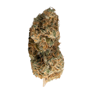 Melon Haze