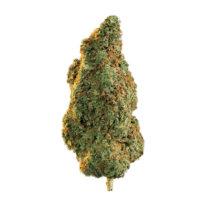 OG Kush