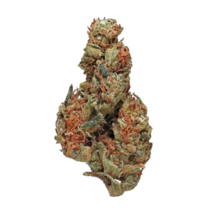 Panama Red