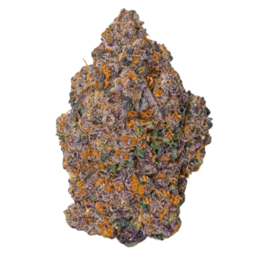 Purple Panty Dropper