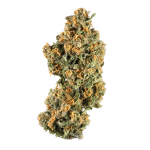 Pink Champagne