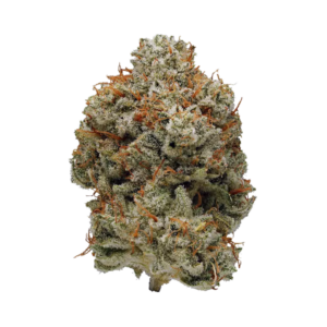 Super Glue