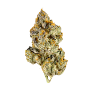 Jet Fuel