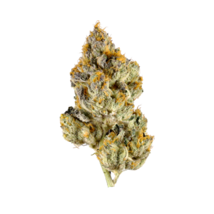 Lemon Cherry Gelato