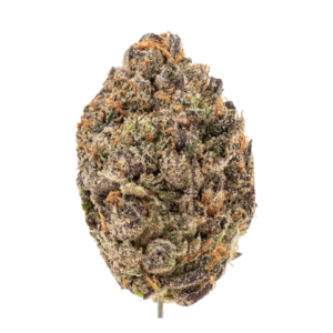 White Cherry Gelato