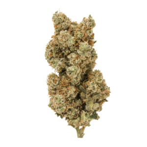 White Widow