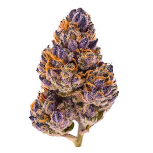 Acai Runtz