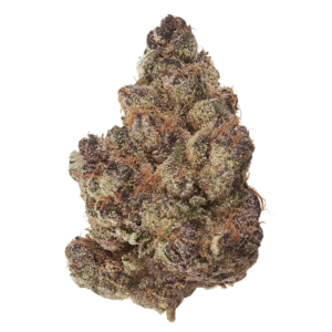 Bali Berry