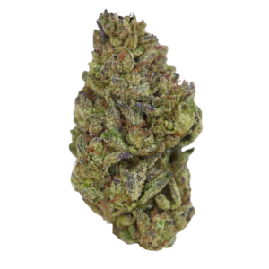 Dank Sinatra