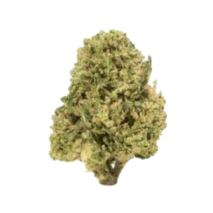 Gas Mask