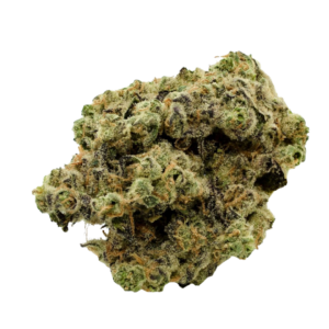 Jungle Cake