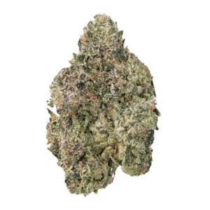 LA Pop Rocks
