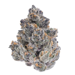 Purple Dream