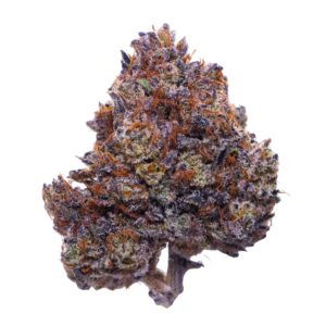 Purple Haze
