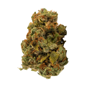 Skunk