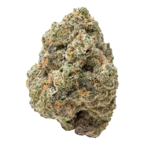 Yerba Fuel